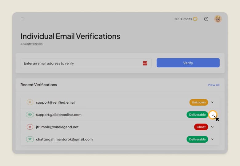 The result or status of the verification